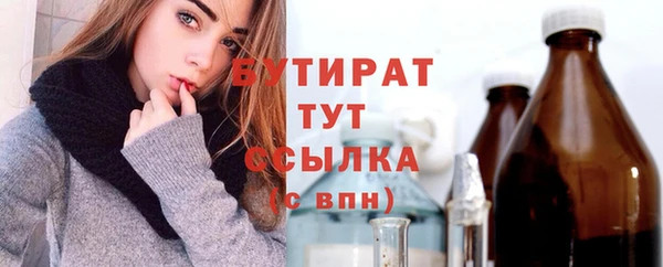 сатива Кулебаки