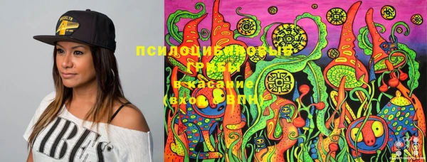 сатива Кулебаки