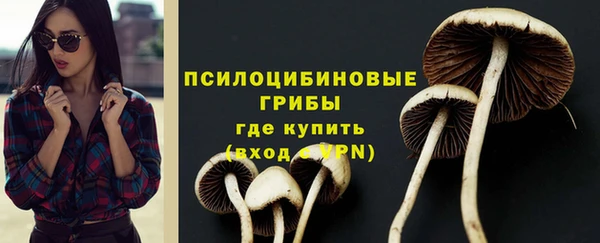 прущая мука Кукмор
