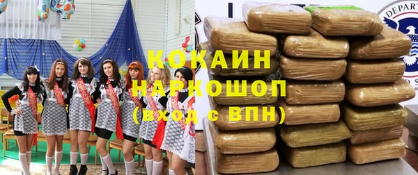 сатива Кулебаки