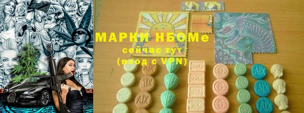 сатива Кулебаки