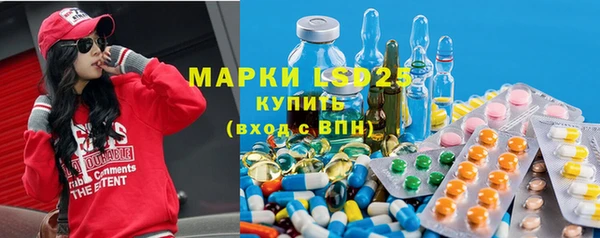 сатива Кулебаки