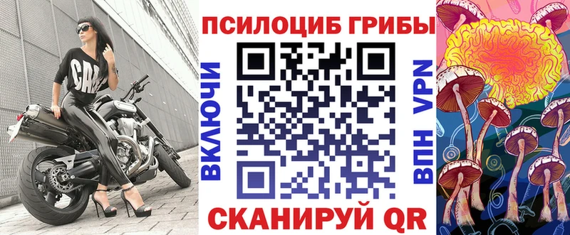 Купить  Лениногорск  Псилоцибиновые грибы Psilocybe 
